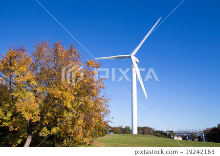 Wind-power generation  19242163