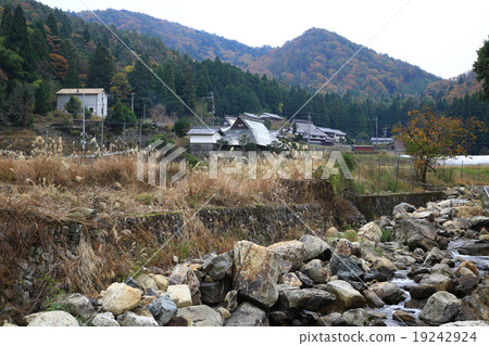 Ruri Kei Autumn leaves Kyoto fu Ruri Kei Autumn leaves Kyoto fu 19242924