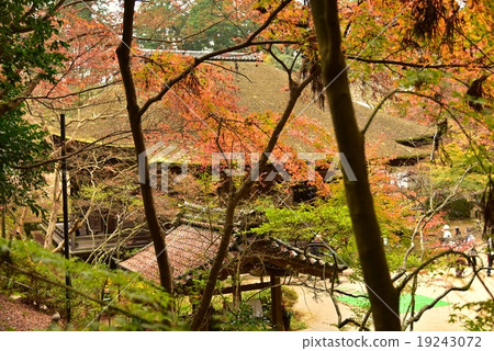 Hunan Miyama, Choshuji Hunan Miyama, Choshuji 19243072