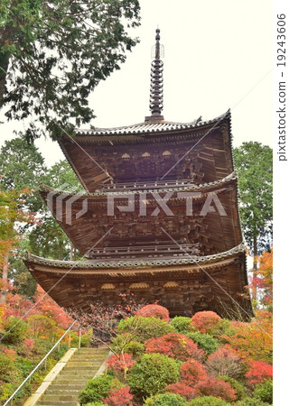湖南Miyama / Jogaku-ji 湖南Miyama / Jogaku-ji 19243606