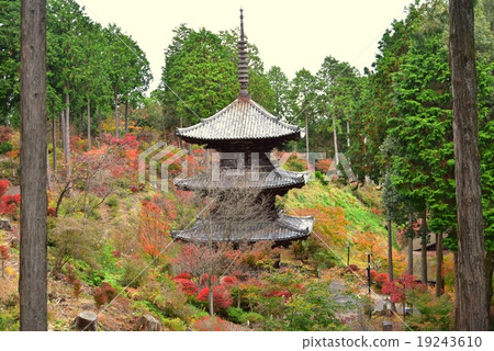 湖南Miyama / Jogaku-ji 19243610
