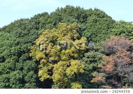 Late autumn Kozegahara base battlefield white flag mound 19244359