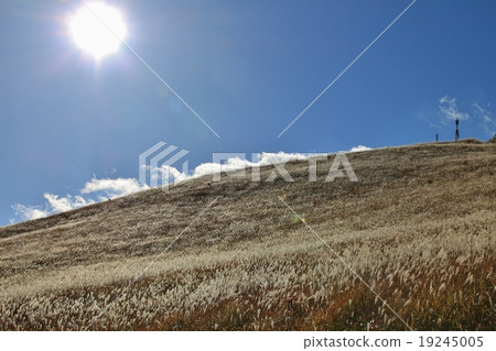 薄野無車山 19245005