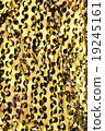Fabric Texture 19245161