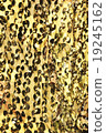 Fabric Texture 19245162