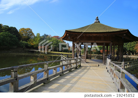 Nara Park Ukimido autumn leaves 19245852