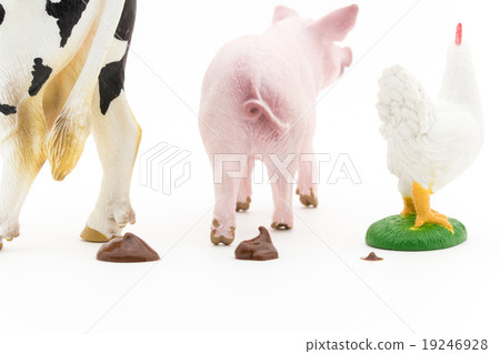 Hun of livestock: feces of livestocks Hun of livestock: feces of livestocks 19246928