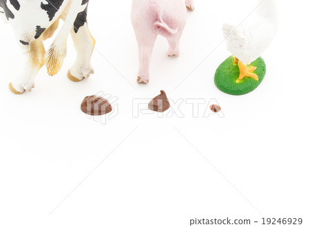 牲畜的匈奴：牲畜的糞便 19246929