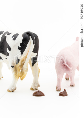 Hun of livestock: feces of livestocks 19246930