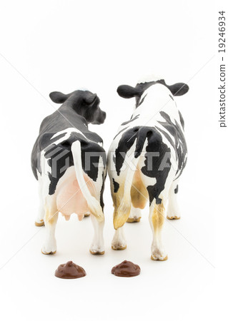 牛匈奴:奶牛的糞便 牛匈奴:奶牛的糞便 19246934