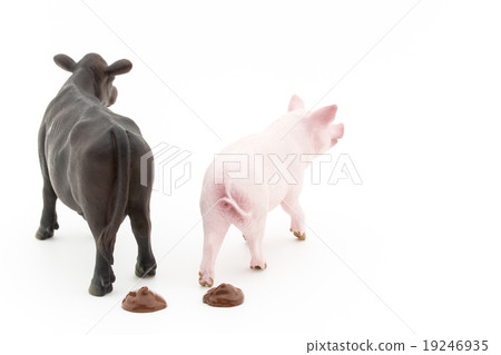 牲畜的匈奴：牲畜的糞便 19246935