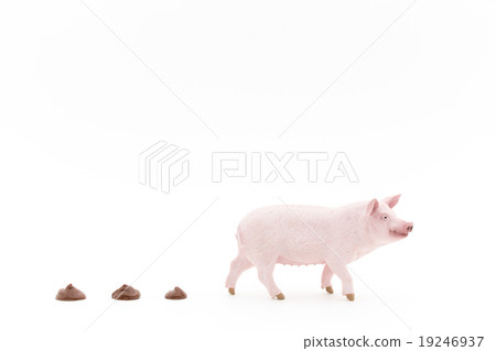 Pig and Hun: Pig and its feces Pig and Hun: Pig and its feces 19246937