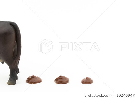 Bovine Hun: feces of cows Bovine Hun: feces of cows 19246947