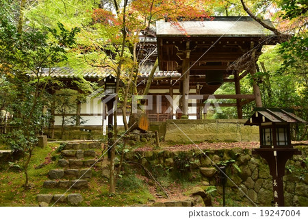 京都·Changrakuji 19247004