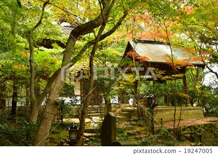 京都·Changrakuji 19247005