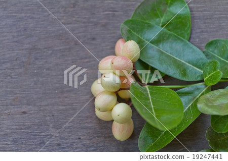 Thai fruit Thai fruit 19247441