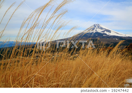 Mount Fuji from the middle of mountain path 19247442