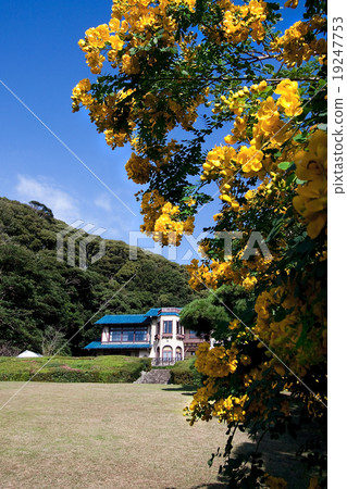 鎌倉文學館和安第斯女孩 - 秋天 -  19247753