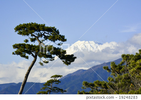 Fuji of Senbon Matsubara Fuji of Senbon Matsubara 19248283