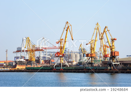 Port warehouse with cargoes and containers 19248684