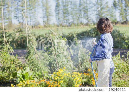 A girl wearing gardening A girl wearing gardening 19249611