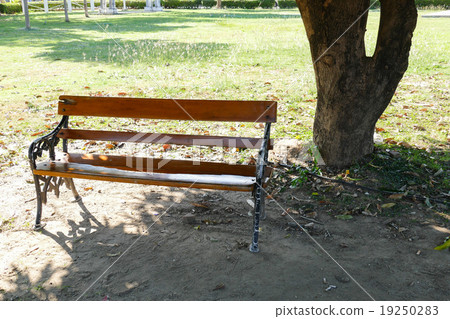 wooden bench under big tree 19250283