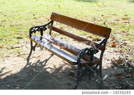 wooden bench in the shade of big tree 19250285