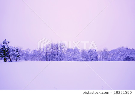 白色世界 - 北海道的雪域深處 -  19251590