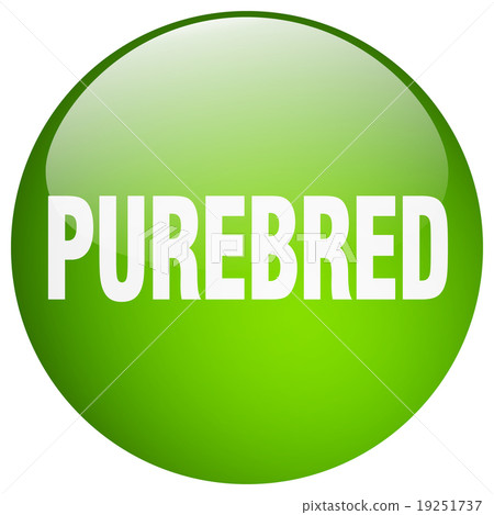 purebred green round gel isolated push button 19251737