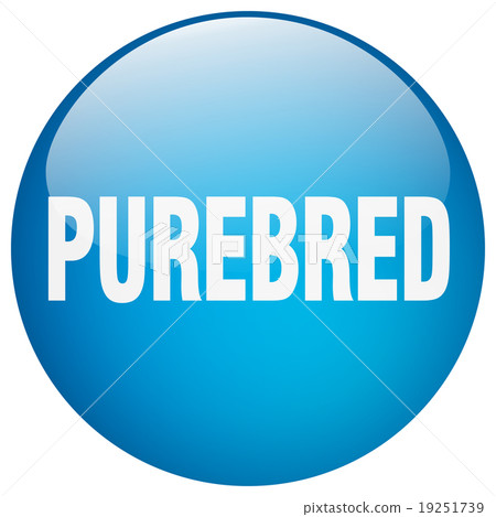 purebred blue round gel isolated push button 19251739