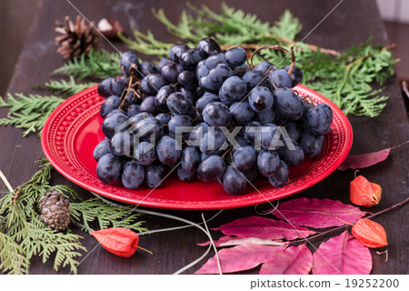 grapes and fir branch with Christmas decorations grapes and fir branch with Christmas decorations 19252200