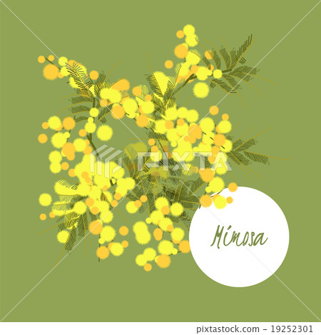 Vector background lily flower and anchor Vector background lily flower and anchor 19252301