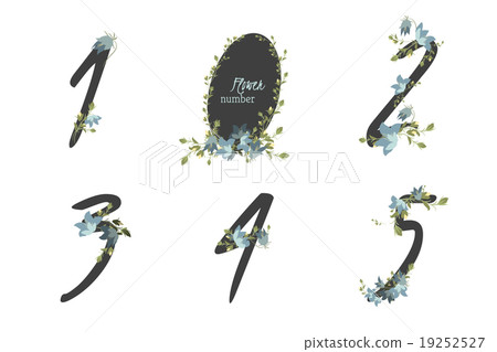 Floral bellflower collection numbers  color.  19252527