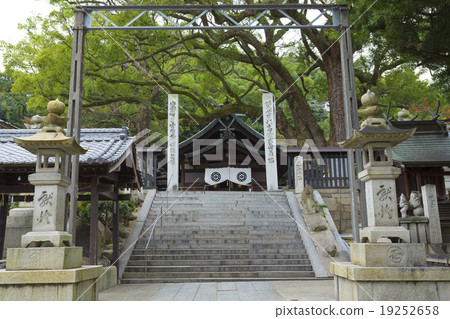 神社的主要神殿和石階 19252658
