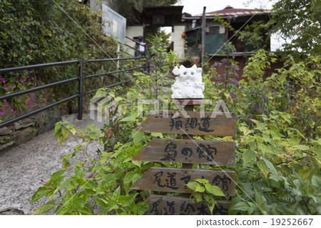 尾道沒有貓路 19252667