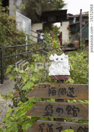 尾道沒有貓路 19252668