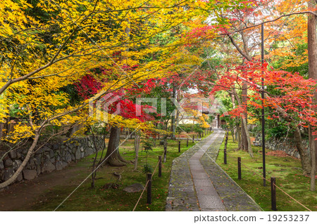 Autumn Kaohsiung 19253237