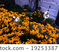 European flower garden and hoaxer 19253387