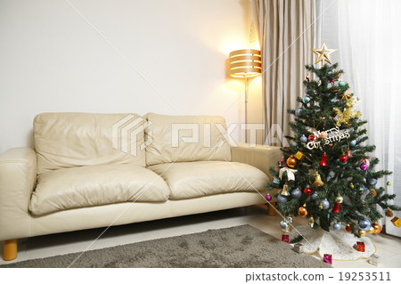 Christmas tree  19253511