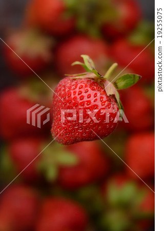 Strawberry Strawberry 19255075
