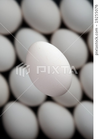 An egg An egg 19255076