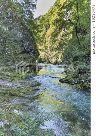 Vintgar gorge, wooden path and river Radovna. Bled, Slovenia. Vintgar gorge, wooden path and river Radovna. Bled, Slovenia. 19256472