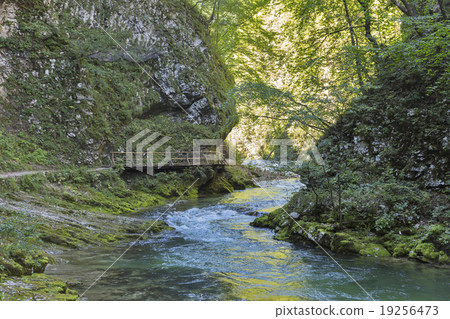 Vintgar gorge, wooden path and river Radovna. Bled, Slovenia. Vintgar gorge, wooden path and river Radovna. Bled, Slovenia. 19256473