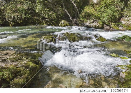 Vintgar gorge and river Radovna. Bled,Slovenia. Vintgar gorge and river Radovna. Bled,Slovenia. 19256474
