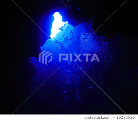 The terrain of the Palace of the Miyakojima Maou 19256580