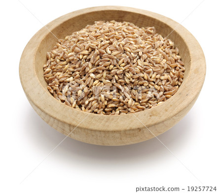 拼小麥 拼小麥 19257724