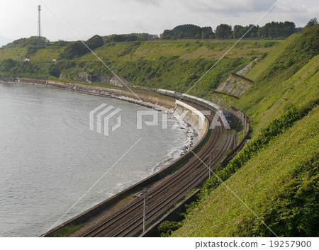 暮光之城8001女同性戀 - 野田 19257900