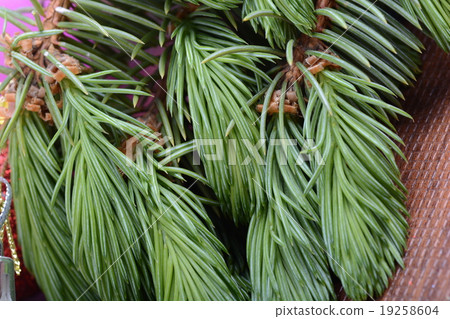 Closeup of beautiful Christmas baubles, Decorated Closeup of beautiful Christmas baubles, Decorated 19258604