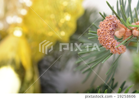 Image of Christmas tree branch and golden material Image of Christmas tree branch and golden material 19258606