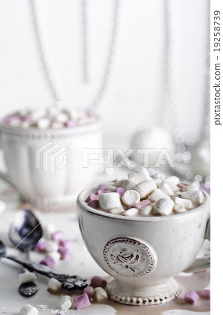 Christmas cocoa with marshmallows 19258739